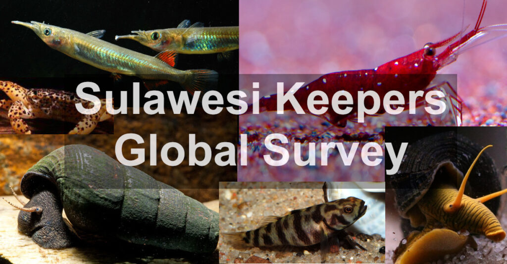 Globální průzkum chovatelů Sulawesi