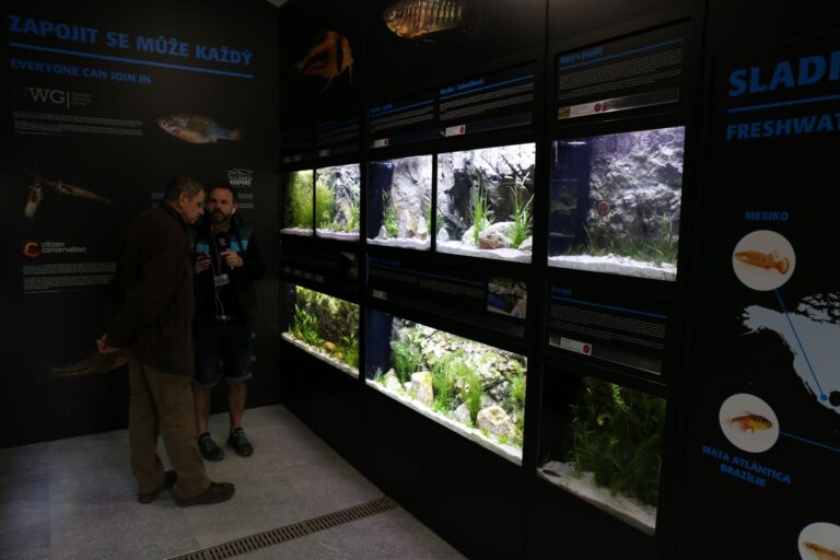 Nieuwe tentoonstelling over kweekprojecten voor zoetwater soortbehoud in de dierentuin van Pilsen