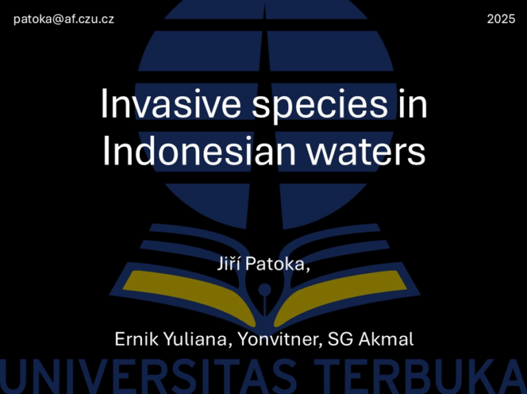 Přednáška na Universitas Terbuka