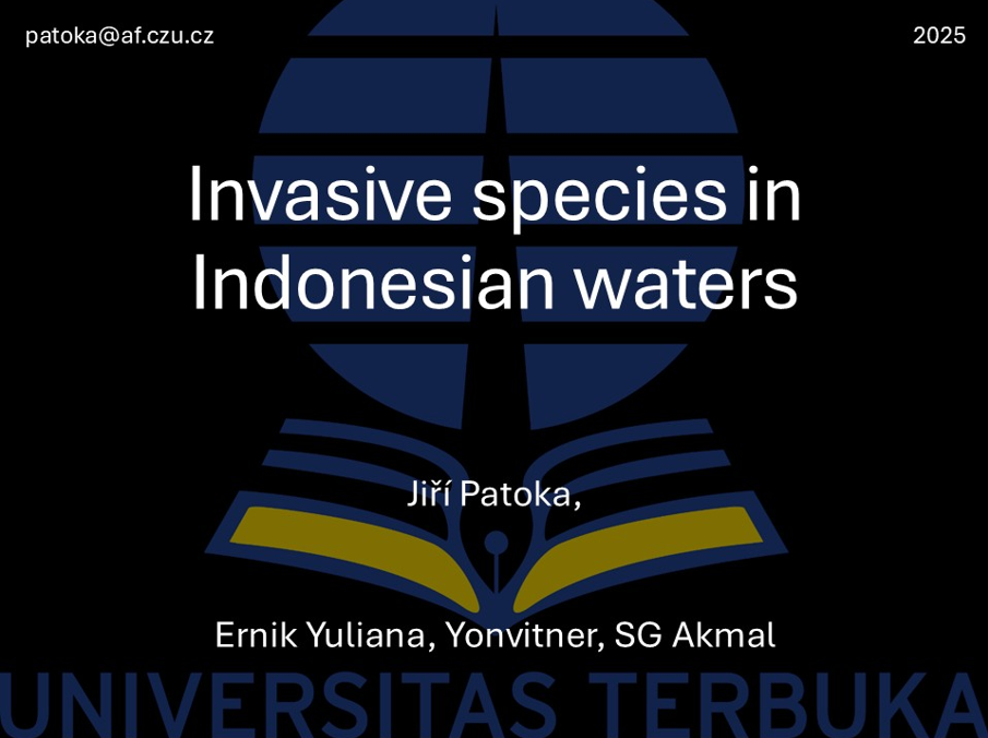 Memberi Kuliah di Universitas Terbuka Indonesia